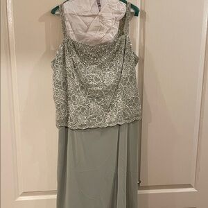 David's Bridal Elegant Lace Dress in Light Green